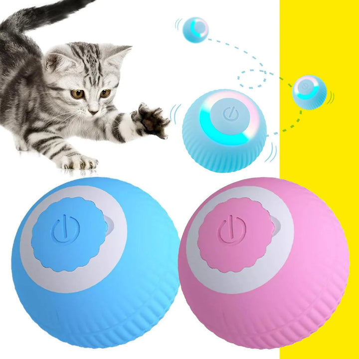 🐱 WaveBall™ | Pelota Inteligente | recargable | Interactiva para gatos y perros | OFERTA 2X1 SOLO HOY | compra una unida y llévate el segundo GRATIS