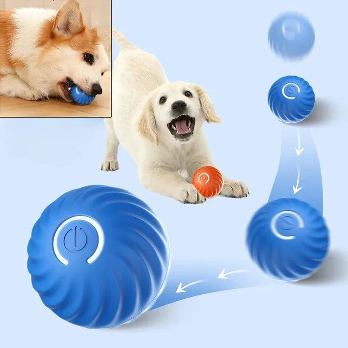 🐱 WaveBall™ | Pelota Inteligente | recargable | Interactiva para gatos y perros | OFERTA 2X1 SOLO HOY | compra una unida y llévate el segundo GRATIS