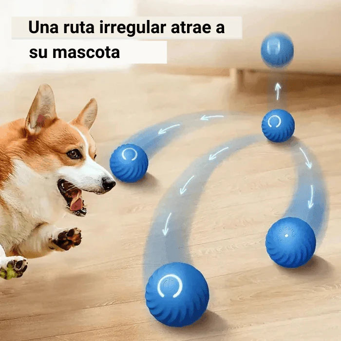 🐱 WaveBall™ | Pelota Inteligente | recargable | Interactiva para gatos y perros | OFERTA 2X1 SOLO HOY | compra una unida y llévate el segundo GRATIS